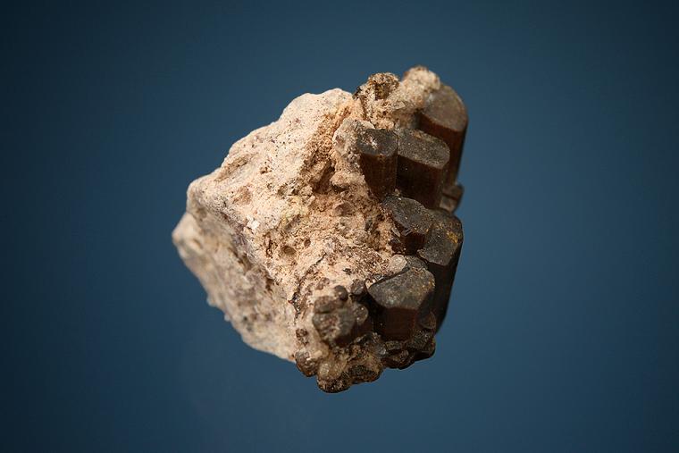 BUERGERITE